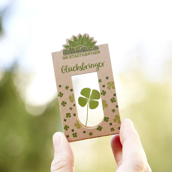 Vierblättriges Glück - Dein Persönlicher Glücksbringer Wheat
