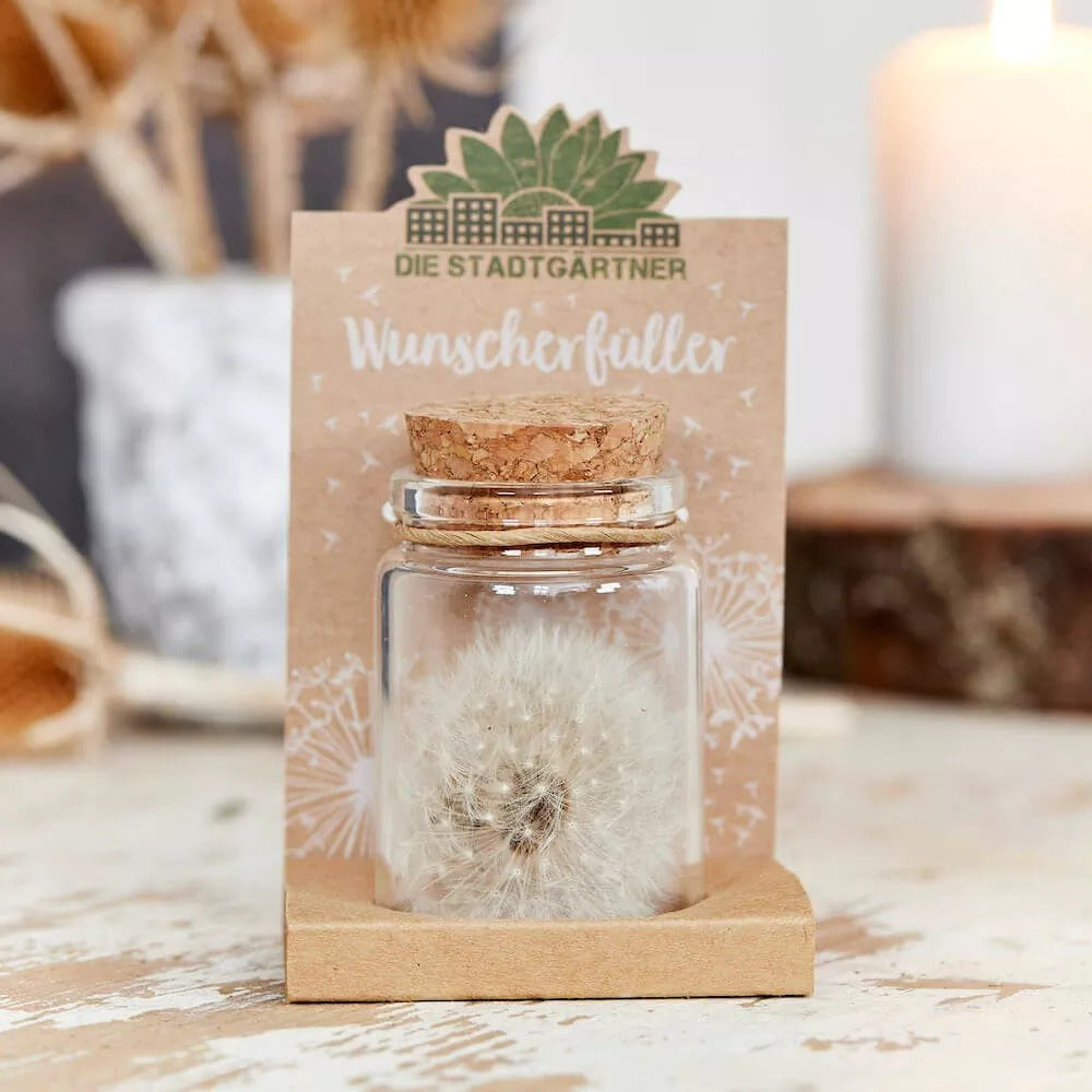 Wunscherfüller im Glas - Glücksbringer Pusteblume Gray