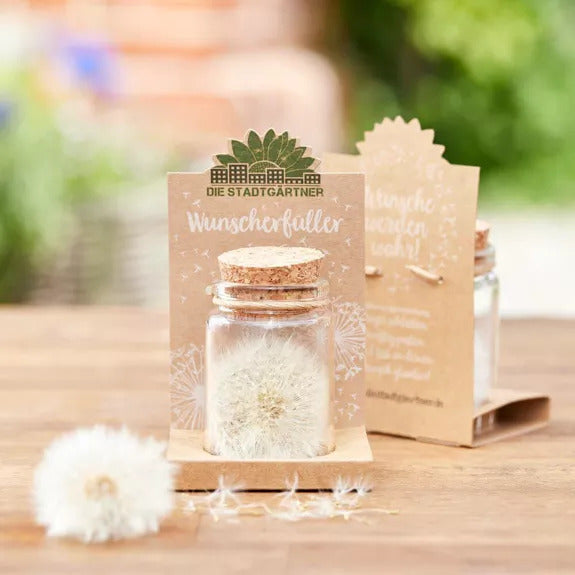 Wunscherfüller im Glas - Glücksbringer Pusteblume Wheat