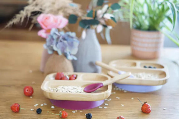Nachhaltige BABYBOX: Babygeschirr, Bürste und waschbare Tücher Rosy Brown